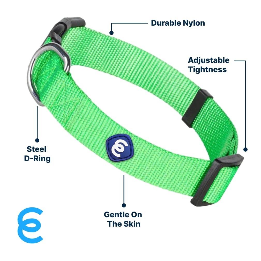 Blueberry Pet Essentials Small Dog Collar in Neon Green | Adjustable & Eco-Friendly Durable Nylon Strap | Classic Collar for Small Dogs, Boy & Girl Pets