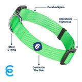Blueberry Pet Essentials Small Dog Collar in Neon Green | Adjustable & Eco-Friendly Durable Nylon Strap | Classic Collar for Small Dogs, Boy & Girl Pets