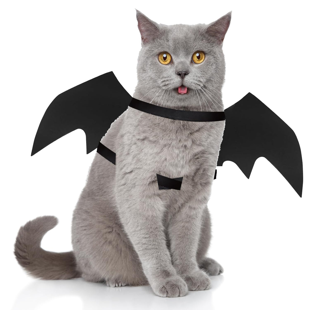 QIYADIN Pet Cat Bat Wings for Halloween Party Decoration, Dog Cosplay Bat Costume,Puppy and Cat Dress Up Accessories (Black, Small)