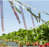 Bird Scare Ribbon Double Sided Holographic Reflective Ribbon Tape to Keep Away Woodpecker, Pigeon, Hawks, Grackles Bird (2 Pack, 0.9in x 260ft)