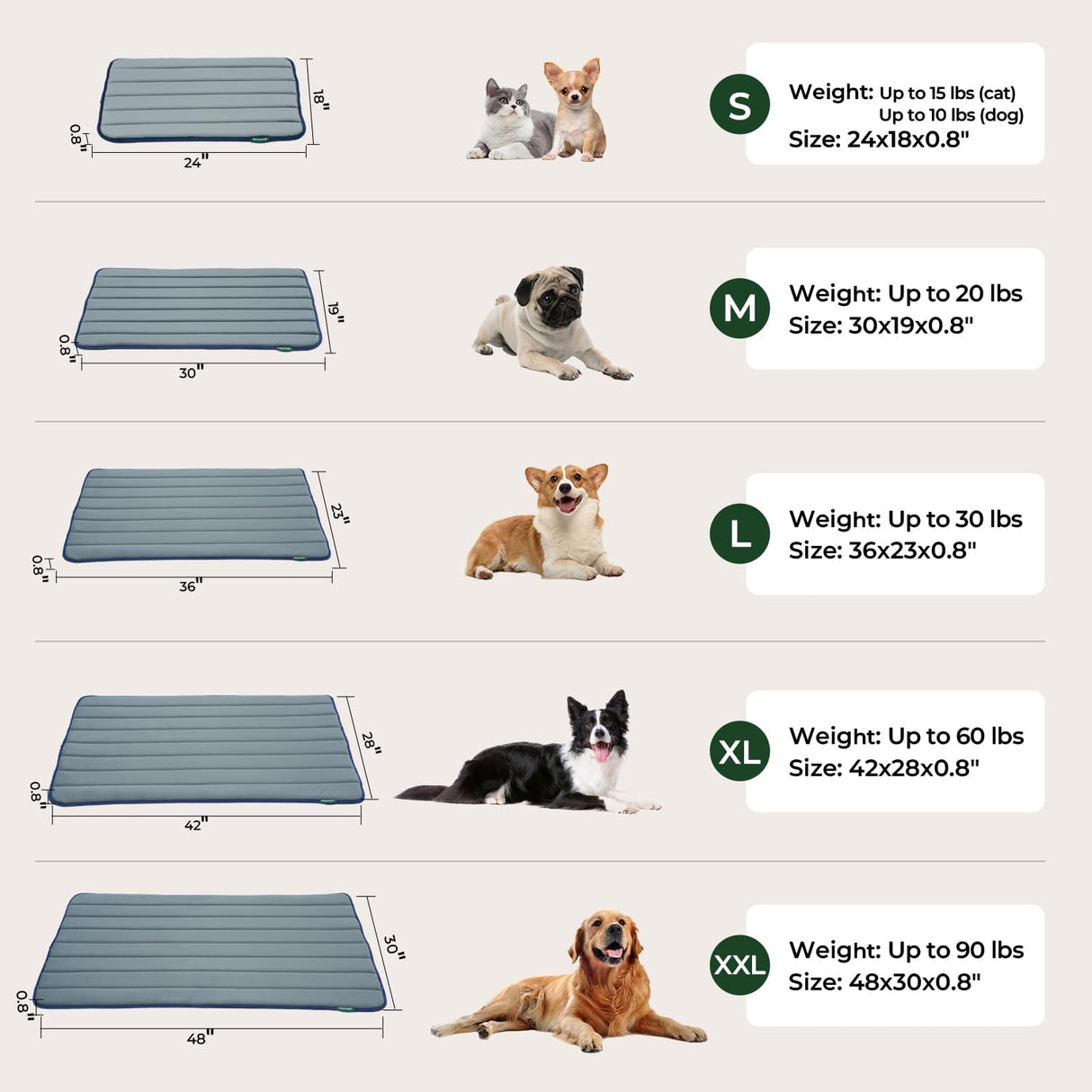 BALANCE Dog Crate Pad, Dog Foam Crate Mat Kennel Pad, Washable Water-Resistant Pet Bed Flat Dogs Cage Mat for Small Dogs