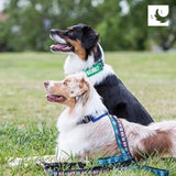 Canine Friendly Bark Notes Patch for Collar or Leash, No Dogs, 3/4" Width