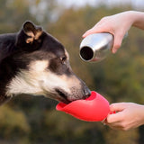 KONG H2O Stainless Steel Dog Water Bottle & Pet Travel Bowl, 25 oz - Blue