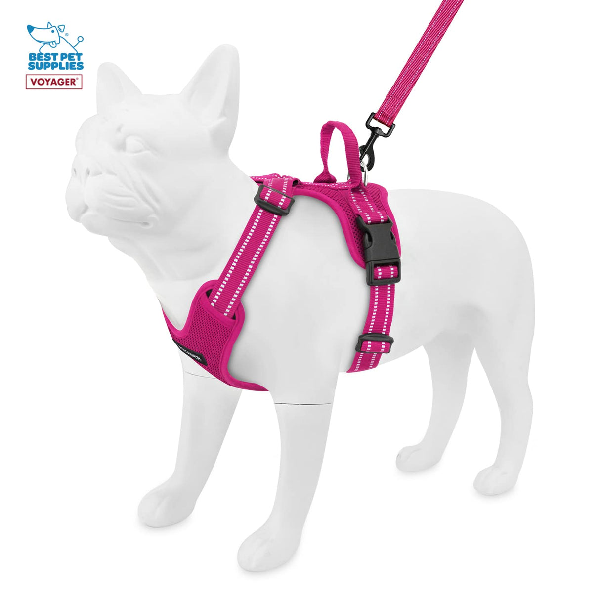 Air Frontier Mesh Dog Harness with and Reflective Dog Leash Set, Reflective Stitching, and Lightweight Breathable No-Pull Design, Adjustable Neck and Chest Straps for Small to Large Breeds - FSW, S