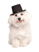 Rubies Top Hat Pet Hat for Dogs or Cats, S/M