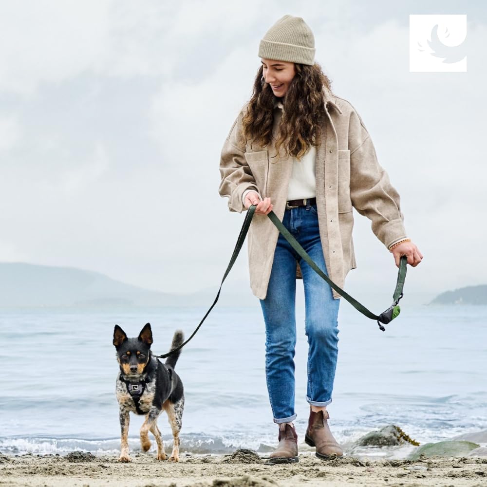 RC Pets 1" x 6 ft Primary Collection Dog Leash, Purple