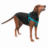 Guardian Gear 2 Step Pet Harness