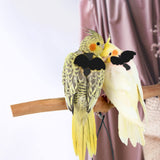 Cockatiel Harness and Leash, Adjustable Parrot Bird Training Design Anti-Bite, Bird Nylon Rope with Cute Wing for Cockatiel and Same Size Birds (L, Black)