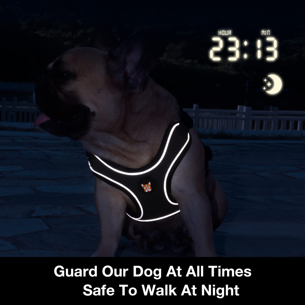 HuggieGems Adjustable Dog Harness Vest and Leash Set for Small, Medium Dogs No Pull, Step in Escape Proof Reflective Easy Walk Puppy Harness, Orange, XS (Comes with A Measuring Tape)