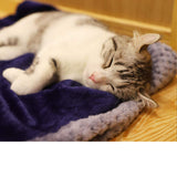 furrybaby Dog Blankets for Small Dogs & Cats for Couch, Reversible Flannel Blankets for Pets 24x32 Inch,Cat Blankets for Indoor Cats Washable (Blue)