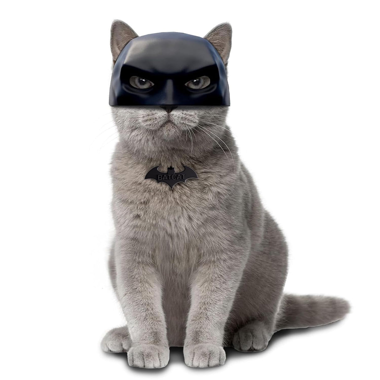 Black BatCat Cosplay Mask for Cats – Extra Thick Durable Pet Costume, Comfortable Halloween Apparel, Funny Superhero Hat, Catman Mask, Handmade Cat Outfit (Medium)