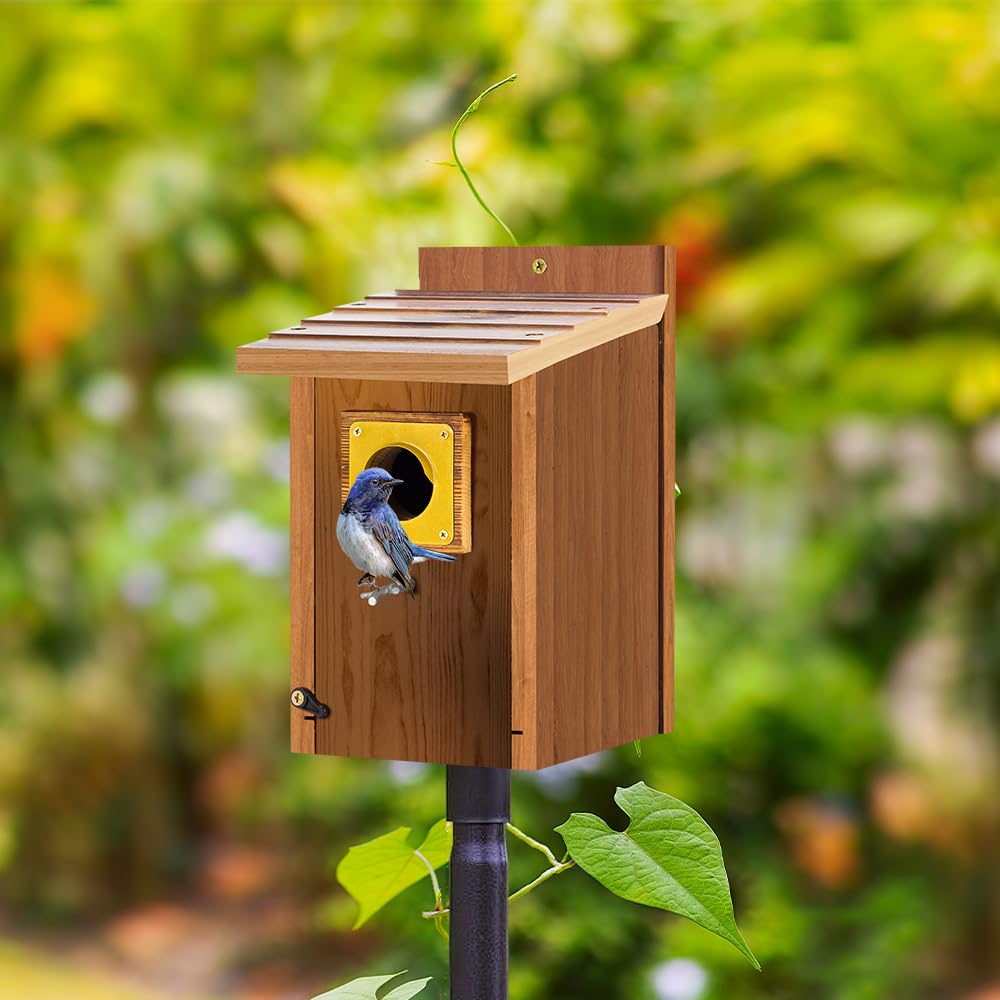 Bird House Guard Hole Plate - Larger Stainless Steel Shape with Rain Buffle - Entrance Predator Guards Metal Plate - 38 mm 1.5" Hole Sizes - Square Rings Entry Hole Protector (Golden 6 Pieces)