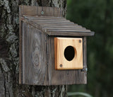 4 Pieces Bluebird House Predator Guard,Wooden Birdhouse Guard,Bird House Hole Protector Guard for Eastern Bluebird Box 1 1/2 Inch Opening