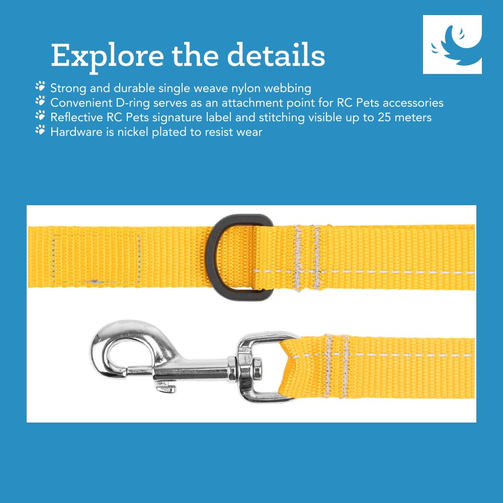 RC Pets 1" x 6 ft Primary Collection Dog Leash, Purple