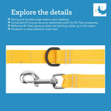 RC Pets 1" x 6 ft Primary Collection Dog Leash, Purple