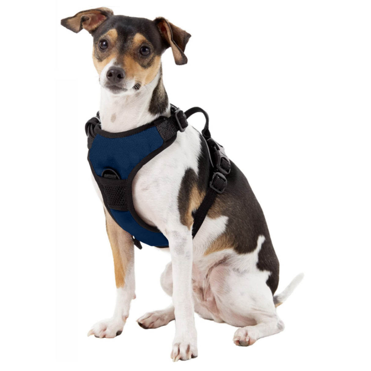 Littlearth Dog NHL Team Logo Front Clip Harness, Blue, X-Large