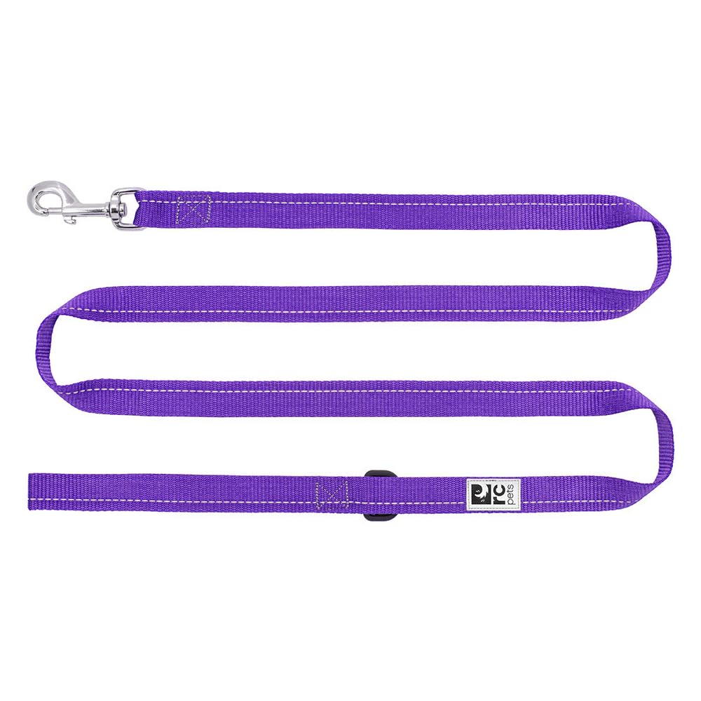 RC Pets 1" x 6 ft Primary Collection Dog Leash, Purple