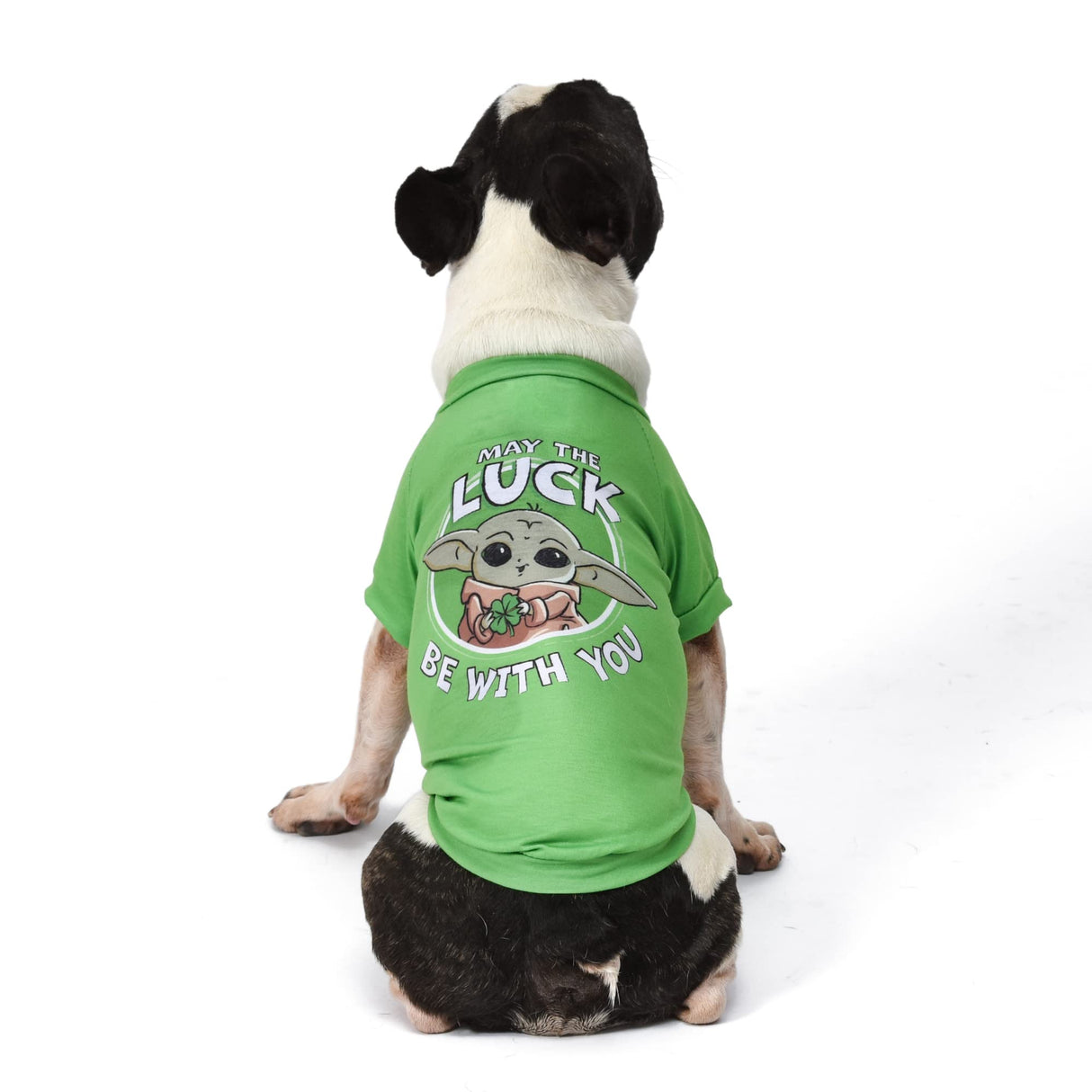 Star Wars Grogu May The Luck Be with You Tee for St. Patrick's Day | Green, Size Large | Cute Dog Clothes, Apparel