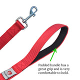 Dog Leash for Medium, Large and Small Dogs - 6 Foot Dog Leashes for Training and Daily Walks - Durable Sizes in Lightweight and Heavy Duty for Small and Large Breeds (1-Layer, Red)