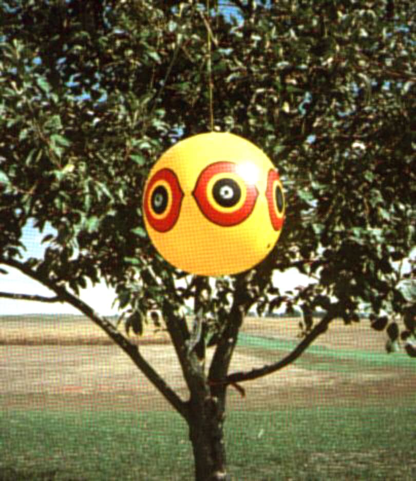 Bird-X Scare-Eye Balloon, Predator 3D Eye Balloons with Glaring Eyes and Bright Colors, Covers up to 6,000 sq. ft. Area, Pack of 1 Yellow Balloon