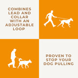 Dog & Field Deluxe Gundog Slip Leash - Olive Green. Soft Spliced Marine Rope Slip Leash for Dogs with Rubber Stopper, Easy to Slip On, No Collar Or Harness Needed. Training Lead for Dogs, One Size