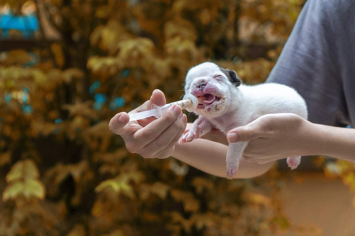 Cassielhouse Pet Feeding Bottle,pet Feeding Tool,Pet Syringe,Pet Nursing kit,Pet Puppy Bottles,Pet Pill Shooter Dispenser,Dog cat Feeding Bottle,Small Animal Silicone Nipples