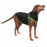 Guardian Gear 2 Step Pet Harness