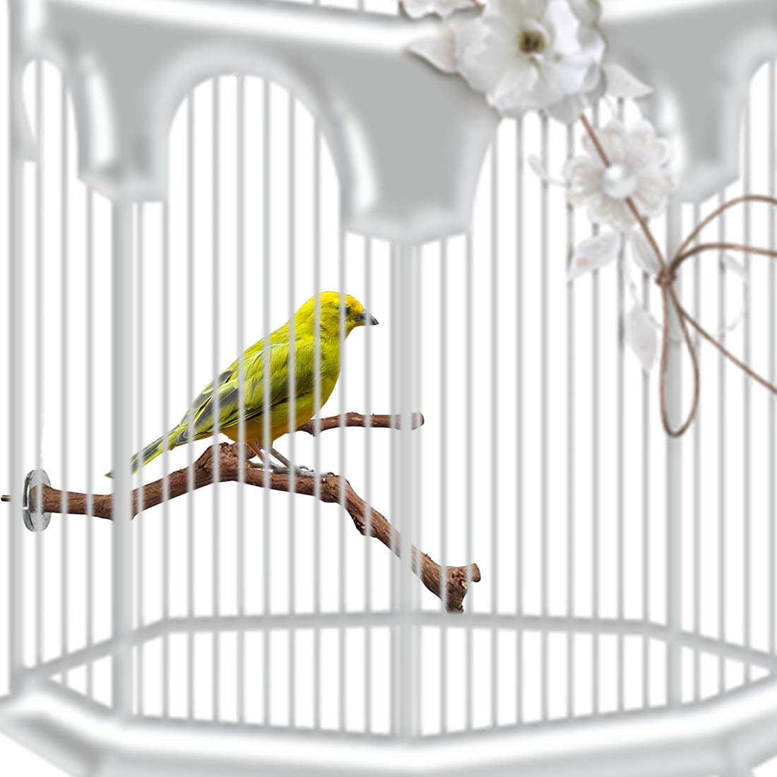 PINVNBY Parrot Perches Natural Birds Stand Wild Grape Stick Grinding Paw Climbing Wood Cage Accessories and Toy for Parakeet, Lovebirds,Budgies,Cockatiels and Finches