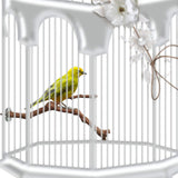 PINVNBY Parrot Perches Natural Birds Stand Wild Grape Stick Grinding Paw Climbing Wood Cage Accessories and Toy for Parakeet, Lovebirds,Budgies,Cockatiels and Finches