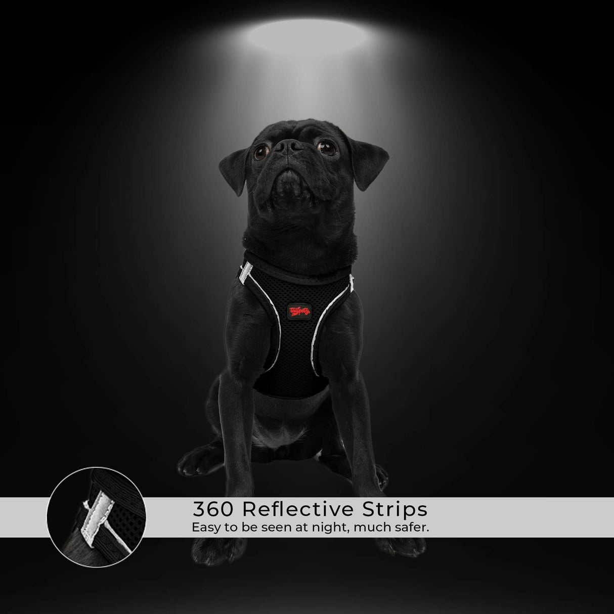 Tailpetz Dog Harness with Breathable Mesh, Reflective, Step-in, No Pull Dog Vest Harness for Small and Medium Dogs and Cats, Neon Orange, 3XS