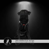 Tailpetz Dog Harness with Breathable Mesh, Reflective, Step-in, No Pull Dog Vest Harness for Small and Medium Dogs and Cats, Neon Orange, 3XS