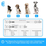 Blueberry Pet Essentials Small Dog Collar in Neon Green | Adjustable & Eco-Friendly Durable Nylon Strap | Classic Collar for Small Dogs, Boy & Girl Pets