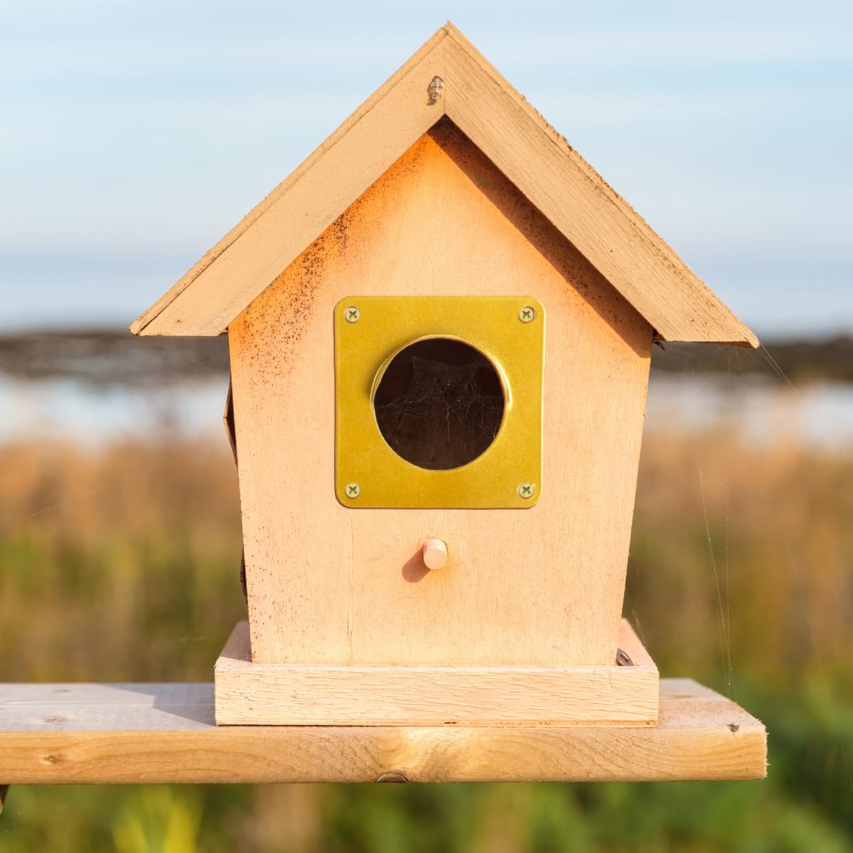 Bird House Guard Hole Plate - Larger Stainless Steel Shape with Rain Buffle - Entrance Predator Guards Metal Plate - 38 mm 1.5" Hole Sizes - Square Rings Entry Hole Protector (Golden 6 Pieces)