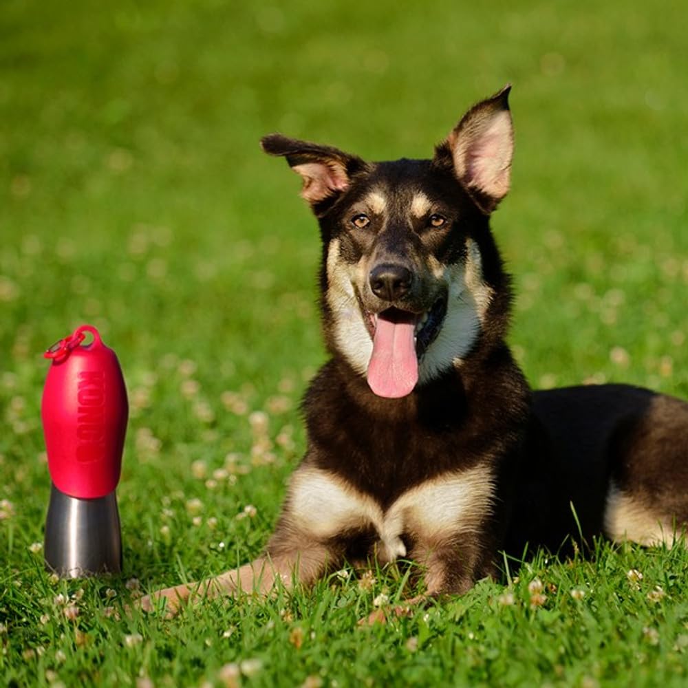 KONG H2O Stainless Steel Dog Water Bottle & Pet Travel Bowl, 25 oz - Blue