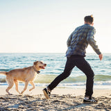 2 In 1 Dog GPS Fence Tracker Wireless GPS Dog Fence GPS Dog Collar With 32-2887FT Radius IPX6 Waterproof For Small Medium Large Dogs