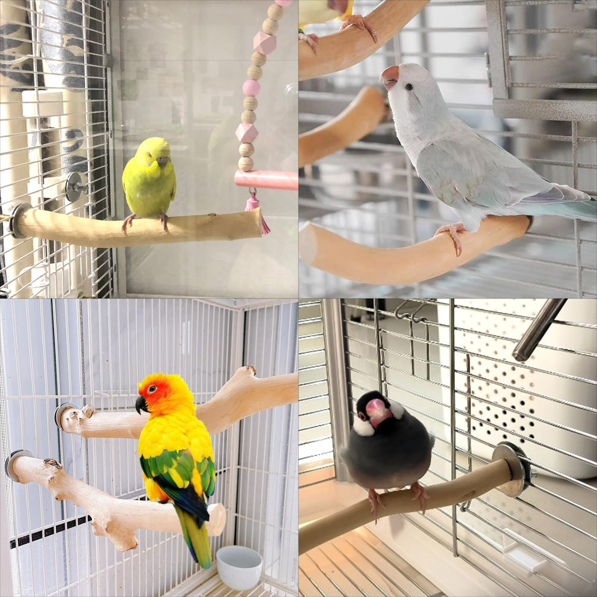 Hamiledyi Wood Bird Perch Stand Parrot Stand Branch Natural Wood Stick Paw Grinding Cage Accessories for Small Birds Parrots Parakeets Cockatiels Conures Lovebirds(2 Pcs)