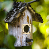 Metal Bird House Guard with Copper Portal for Eastern Bluebird Houses 1 1/2 Inch Opening (2 Pieces)