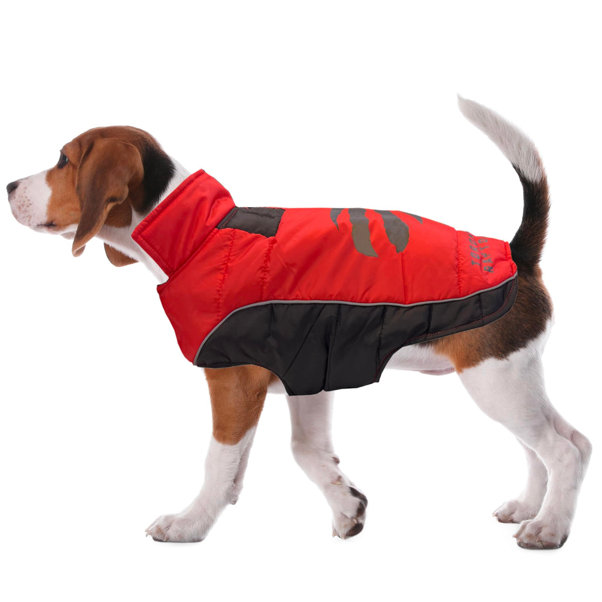 NBA Toronto Raptors Puffer Vest for Dogs & Cats, Size Large. Warm, Cozy, and Waterproof Dog Coat, for Small and Large Dogs/Cats. Best NBA Licensed PET Warming Sports Jacket