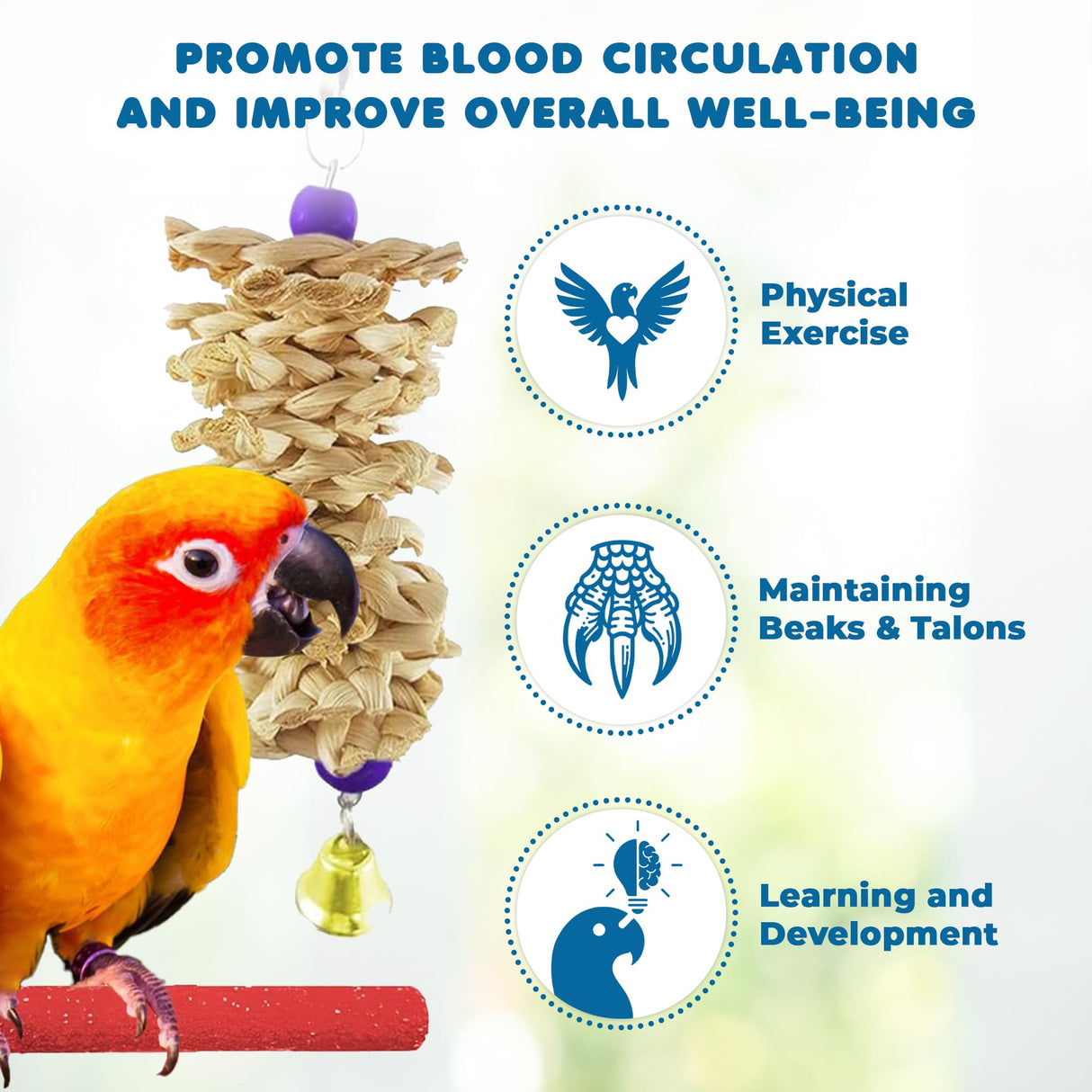 SunGrow Parrot Swing and Perch Bundle, Keep Birds from Hatching Plans for World Domination with Joyful Colorful Items for Love Birds, Conures, Cockatiels, Finches, Parakeets, 12 Pieces