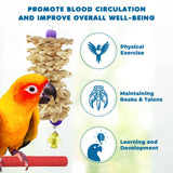 SunGrow Parrot Swing and Perch Bundle, Keep Birds from Hatching Plans for World Domination with Joyful Colorful Items for Love Birds, Conures, Cockatiels, Finches, Parakeets, 12 Pieces