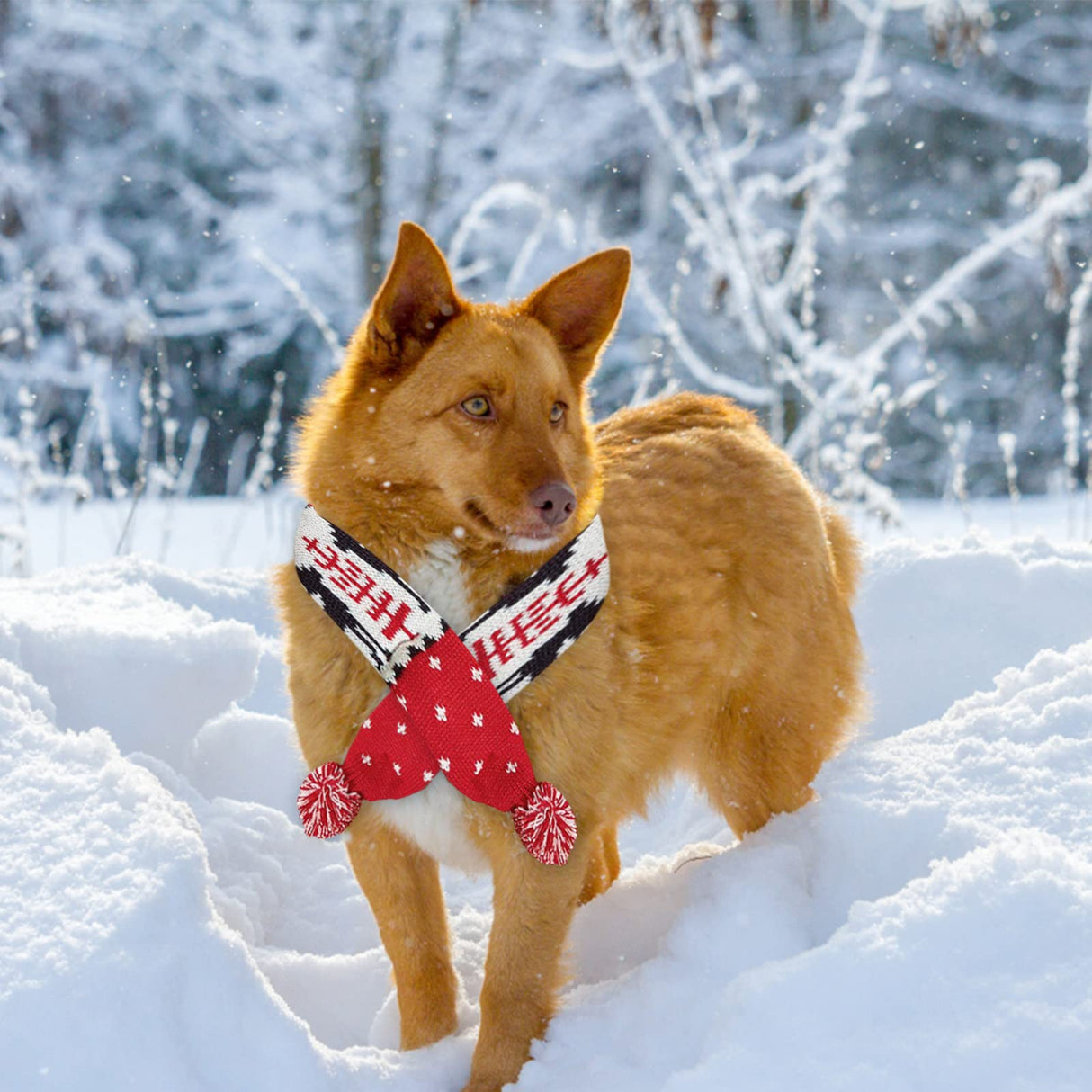 Dog Christmas Scarf Pet Puppy Xmas Knitted Costume Winter Warm Bandanas Neckerchief Cat Neck Warmer Apparel for Holiday Festive (Small, Red Black)