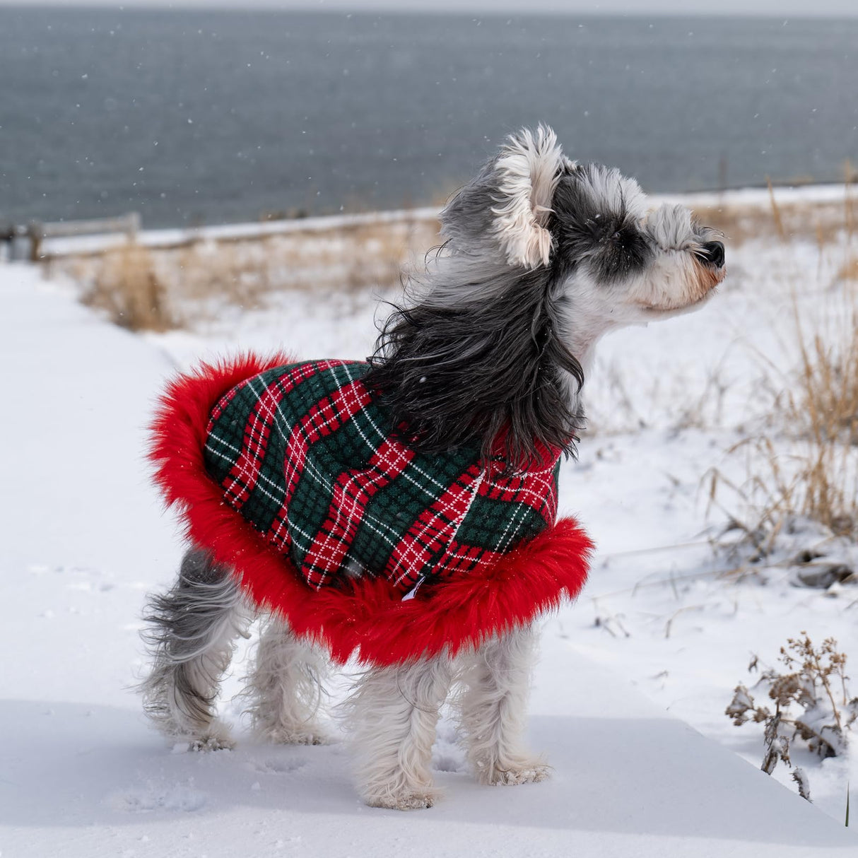 UNIPUP Dog Sweater Cloak, Pearl Cotton Bouclé Yarn Puppy Sweater, Cold Weather Coat Knitwear for Small Dogs, Classic Turtleneck Thick Dog Clothes with Thick Fluff DS-DP01L