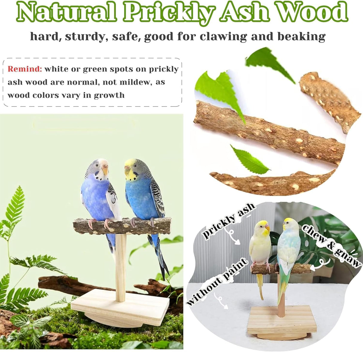 Natural Wood Bird Perch Stand Training, Intelligence Puzzle Enrichment Toys for Parakeets, Wooden Parrot Perch Platform, Bird Playground Play Stands for Conure Cockatiel (Wood, Small)