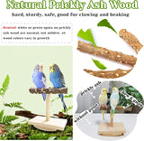 Natural Wood Bird Perch Stand Training, Intelligence Puzzle Enrichment Toys for Parakeets, Wooden Parrot Perch Platform, Bird Playground Play Stands for Conure Cockatiel (Wood, Small)