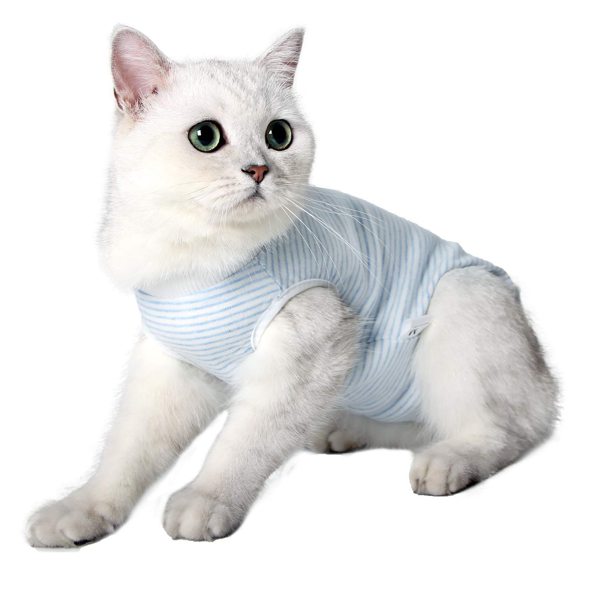 oUUoNNo Cat Wound Surgery Recovery Suit for Abdominal Wounds or Skin Diseases, After Surgery Wear, Pajama Suit, E-Collar Alternative for Cats (S, Stripe Blue)