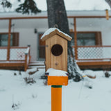 NATUREYLWL Hummingbird House for Outside Hanging, Mini Wood Birdhouse specifically for Hummingbird, Small Bird Nesting Box with Perch, Weather-resistant outdoor birdhouse, Dimensions:3.3*4.1*5.9 inch
