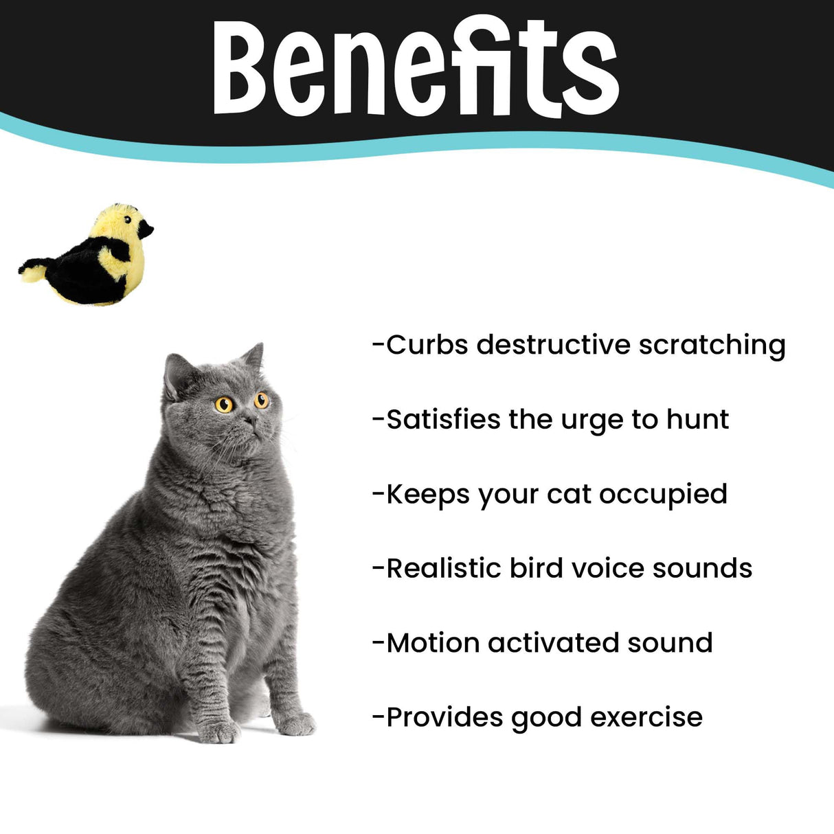 SPOT Song Birds Cat Toy- Touch Activated Singing Catnip Toy Mimics Real Bird Songs, Battery Operated Toy Satisfies Cat's Natural Urge to Hunt - One 5" Song Bird, Assorted Colors