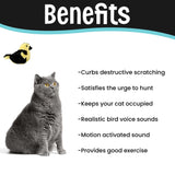 SPOT Song Birds Cat Toy- Touch Activated Singing Catnip Toy Mimics Real Bird Songs, Battery Operated Toy Satisfies Cat's Natural Urge to Hunt - One 5" Song Bird, Assorted Colors