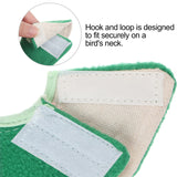 4 Pcs Bird Cone Collar Pet Anti-bite Elizabethan Collar Parrot Recovery Cone Protective Recovery Cones for Budgerigar Cockatiel Lovebirds Cockatoo Parrots (M)