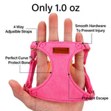 No Pull Dog Harness- Lightweight, Soft, Adjustable Small Harness Collar and Leash Set, Suitable for Cats Puppy Small and Medium-Sized Dog Outdoor Training and Running (hotpink, XXS)